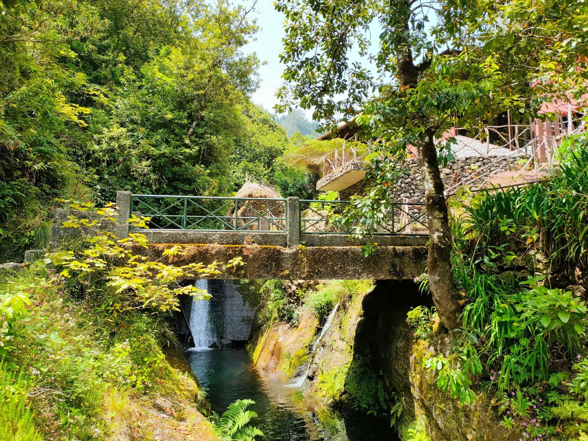 Ribeiro-Frio